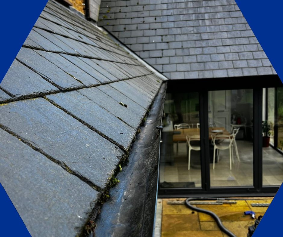 Gutter Cleaning