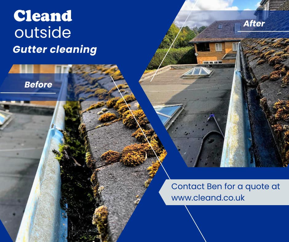Gutter Cleaning