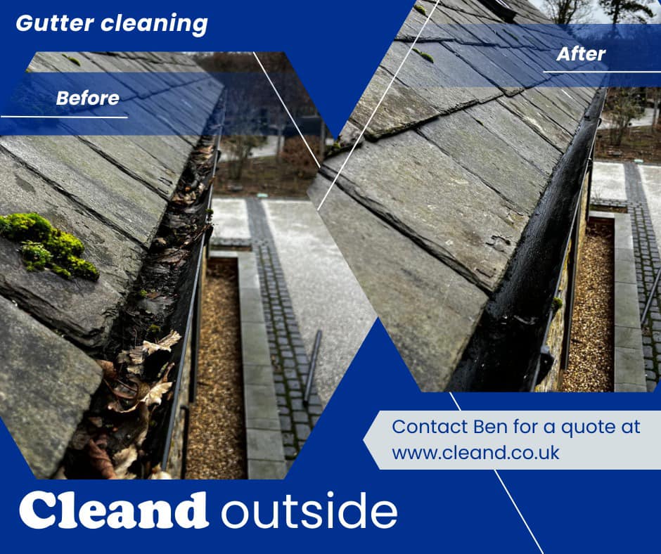 Gutter Cleaning